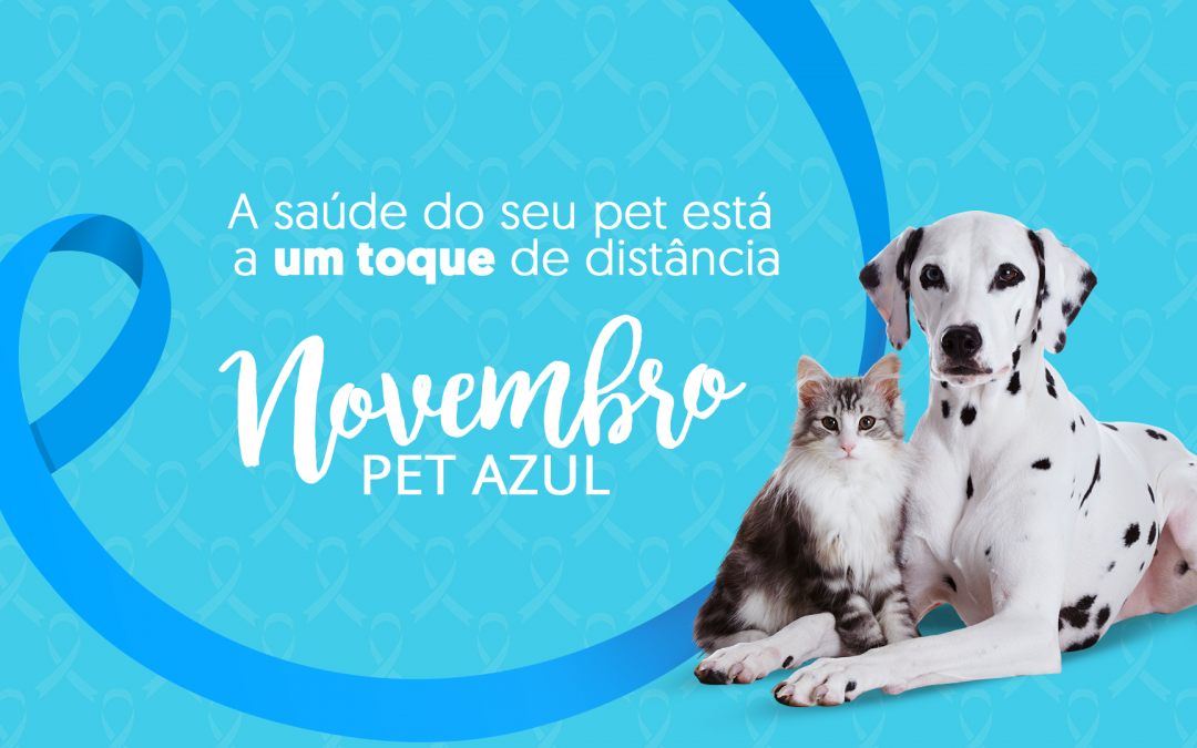 Novembro Azul E Castração De Cães E Gatos Vet Plus