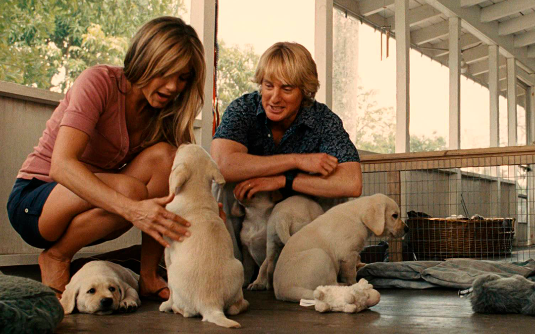 Filmes de Cachorro: 20 Filmes Inesquecíveis