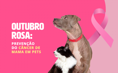 Outubro Rosa: prevenção do câncer de mama em pets