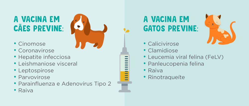 vacuna giardia gatos