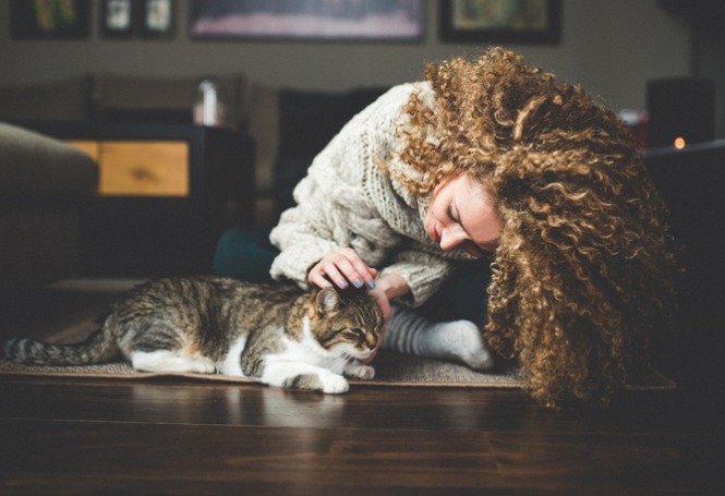 10 formas que os gatos demonstram carinho