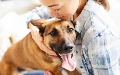 Close up portrait of smiling Asian woman hugging dog sitting on bed in warm sunlight, copy space