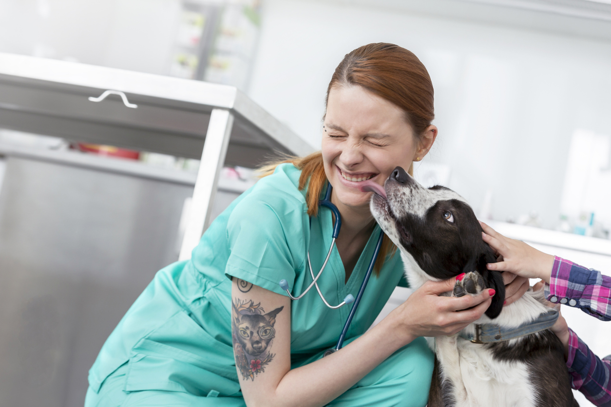 Куче што лиже насмеано млад ветеринарен лекар на клиника