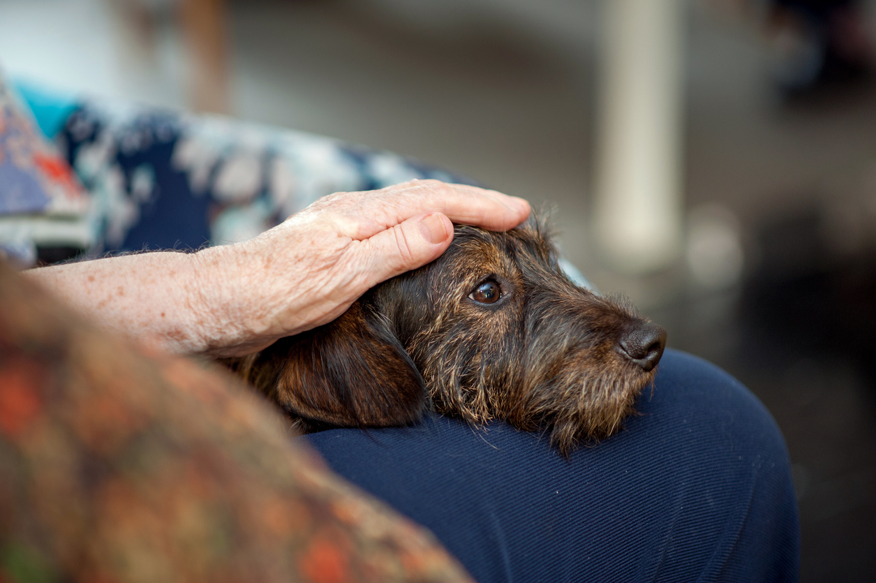 Senior Woman In The Retirement Community Enjoy The Visit Of Her Dog
