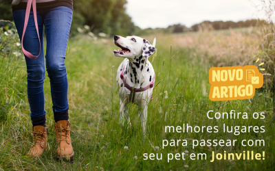 Confira os melhores lugares para passear com seu pet em Joinville!