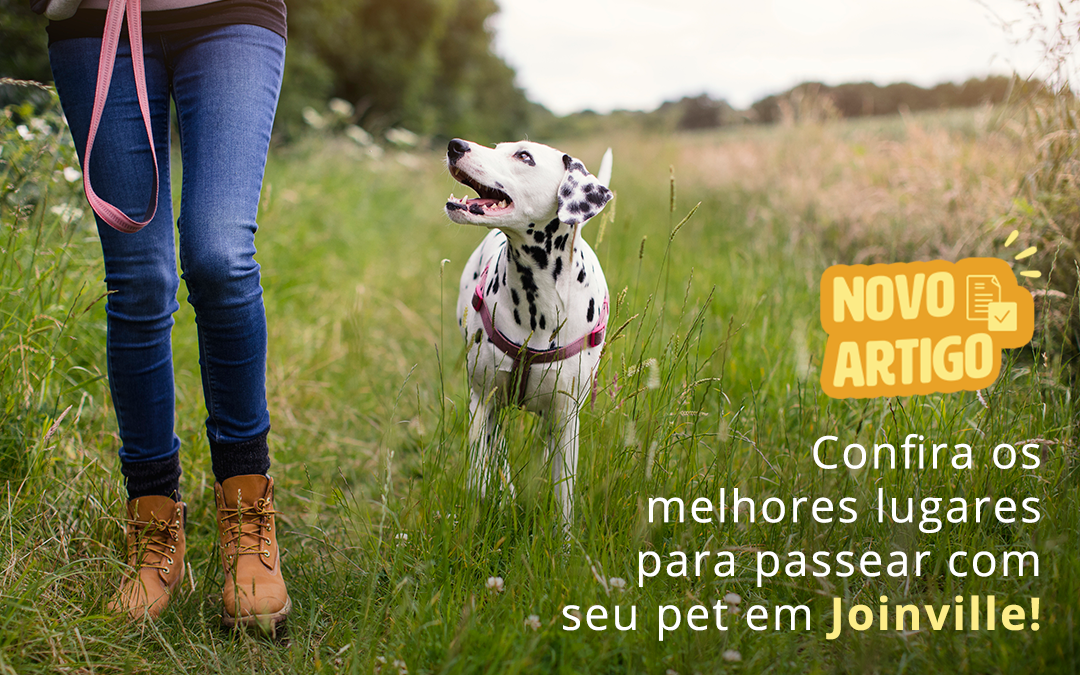 Pet Shop na Zona Sul: confira os melhores lugares