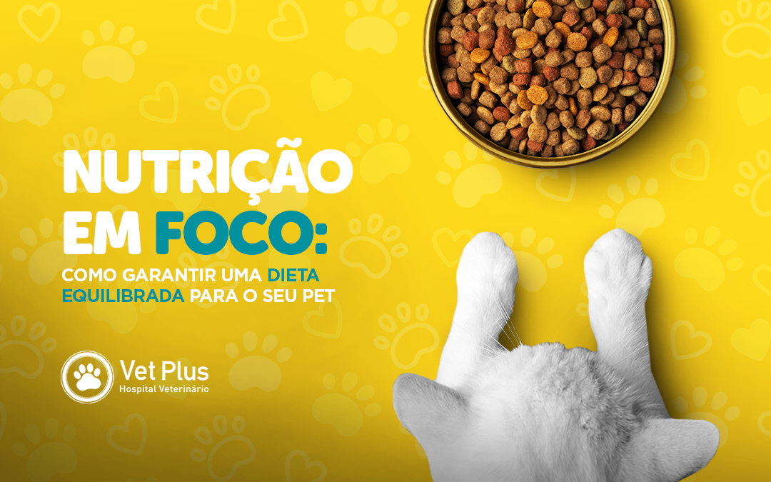 Nutrição em foco: Como garantir uma dieta equilibrada para o seu pet