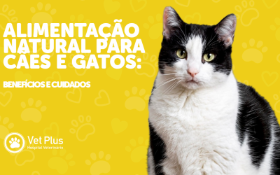 Alimentação natural para cães e gatos: benefícios e cuidados