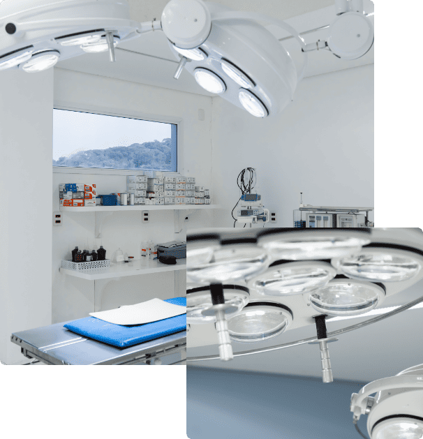 Sala de exames | Vet Plus