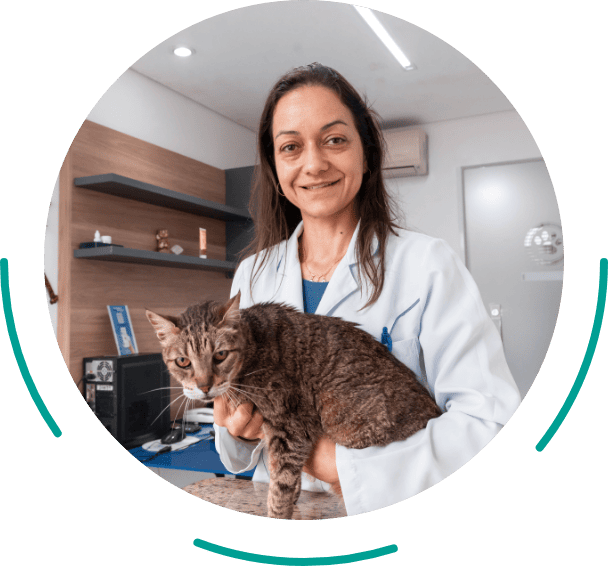 Equipe Médica Gilian Guelmann | Vet Plus