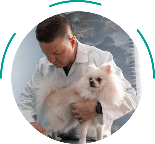 Equipe Médica Fábio Magalhães | Vet Plus